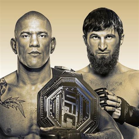 give me reddit streams ufc.